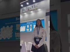 BOIGEVIS participó en la exposición de piezas de automóviles en Rusia