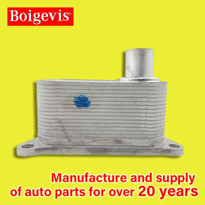 Componentes para automóviles Accesorios Sistemas de refrigeración Radiador de aceite 06J117021D Para EA888 Magotan Etc.
